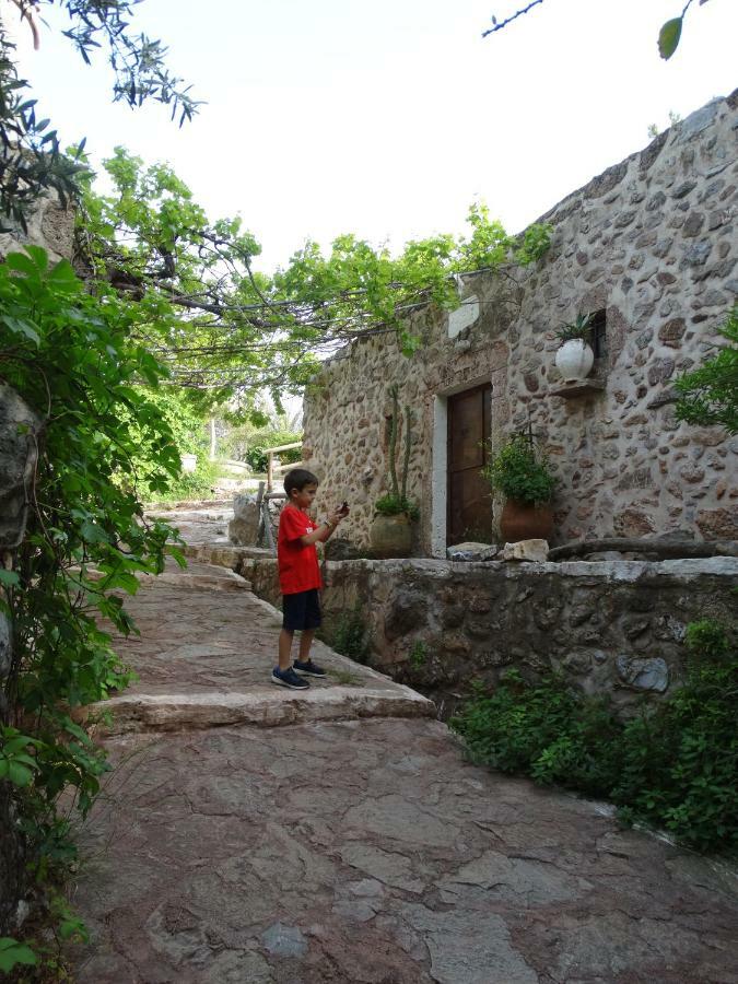 Nikos House Apartment Zakros Exterior photo